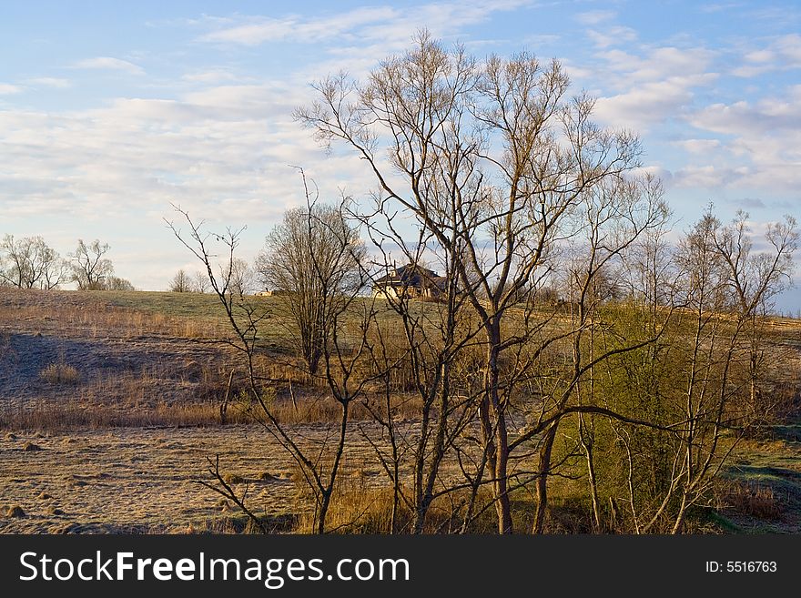 Non-urban lanscape with leafless trees, field and cottage. Non-urban lanscape with leafless trees, field and cottage