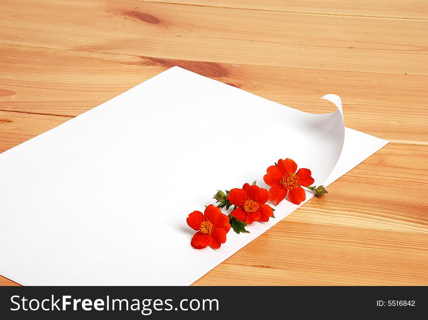 Letter With Flowers