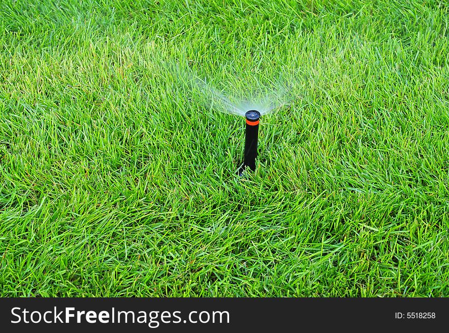 Spray, grass land, water the garden