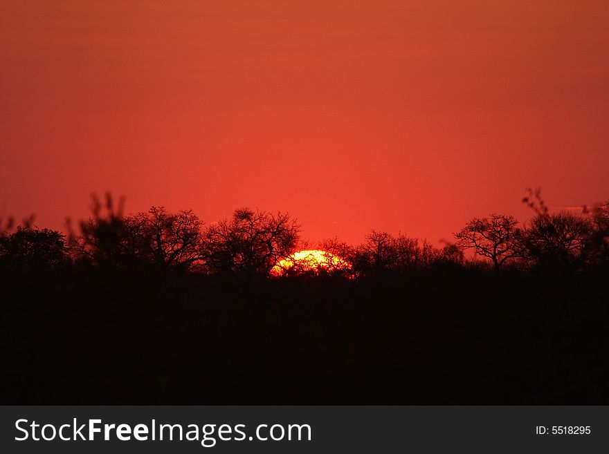 Sunset in Sabi Sand reserve, South Africa. Sunset in Sabi Sand reserve, South Africa