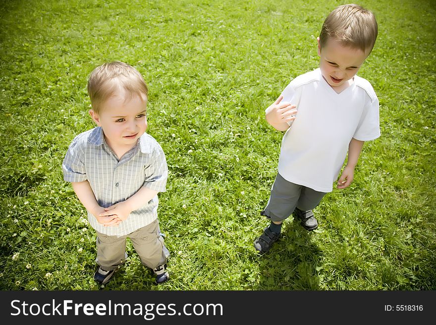 Two Brothers On The Meadow