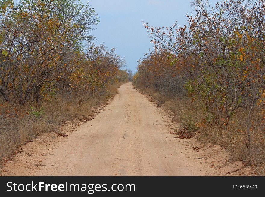 Dusty safari track in Sabi Sands. Dusty safari track in Sabi Sands