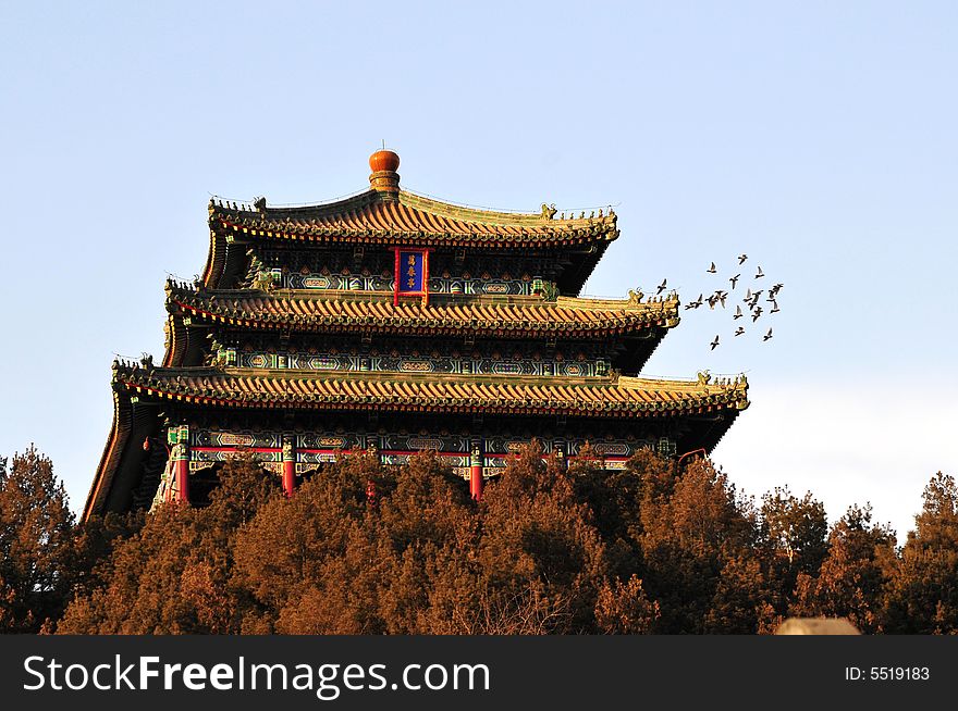 Chinese pavilion , pigeons fly over the great pavilion