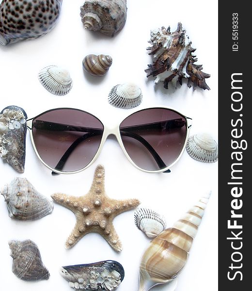 A photograph of solar glasses and different seashells. Summer, vacation concept