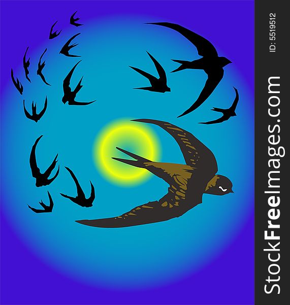 This is the vector illustration of flying birds. This is the vector illustration of flying birds