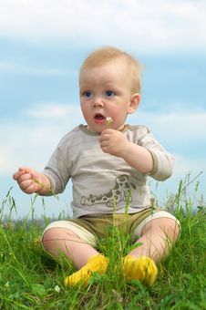 Little Baby  On Green Grass Stock Photography