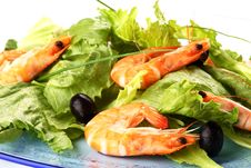 Shrimp Salad Stock Image Shrimp Salad Stock Image