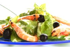 Shrimp Salad Stock Photo Shrimp Salad Stock Photo
