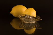 Lemon Royalty Free Stock Images