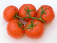 Five Tomatoes On White. Stock Photo