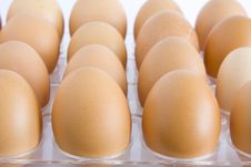 Chicken Eggs Stock Image Chicken Eggs Stock Image