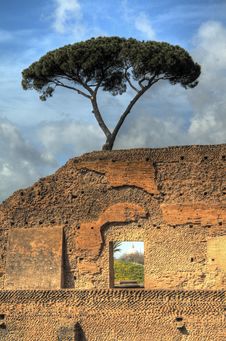 A Lone Tree Over The Rome Pantheon Stock Image A Lone Tree Over The Rome Pantheon Stock Image
