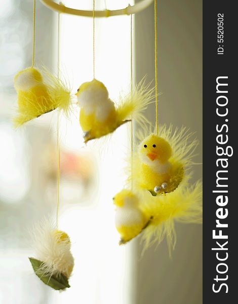 Hanging fluffy, yellow chickens as Easter decoration