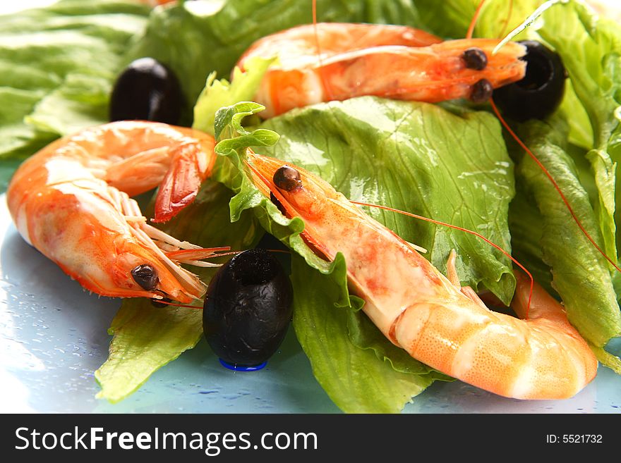 Very fresh shrimp salad on blue plate