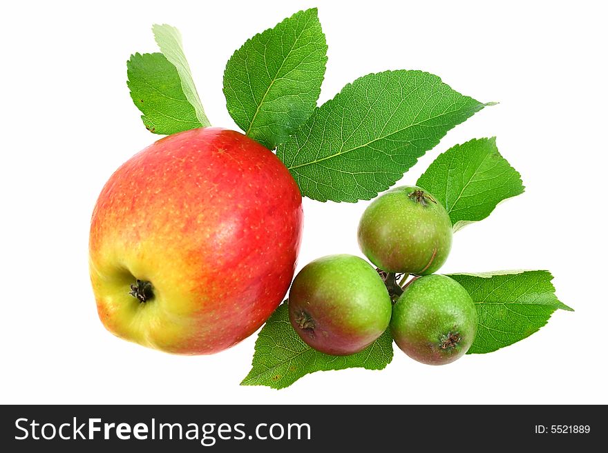 One big and some little apples on white background as sample of my fruit images. One big and some little apples on white background as sample of my fruit images