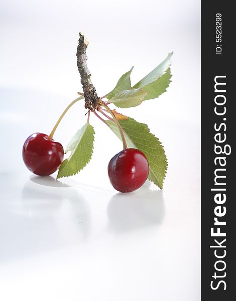 Sour cherries on white background. Sour cherries on white background