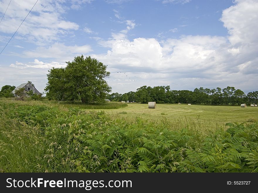 Rolled Hay On Farm With Old Barn