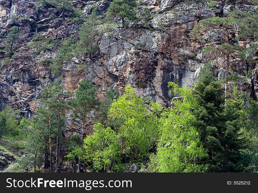 Caucasus: rock and green trees