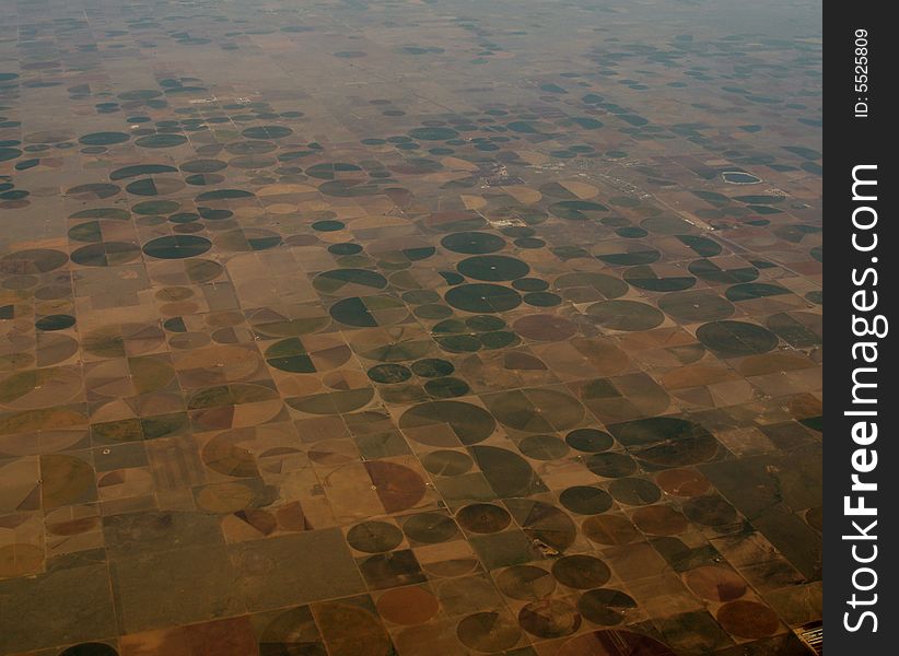 Large Scale Commercial Farming