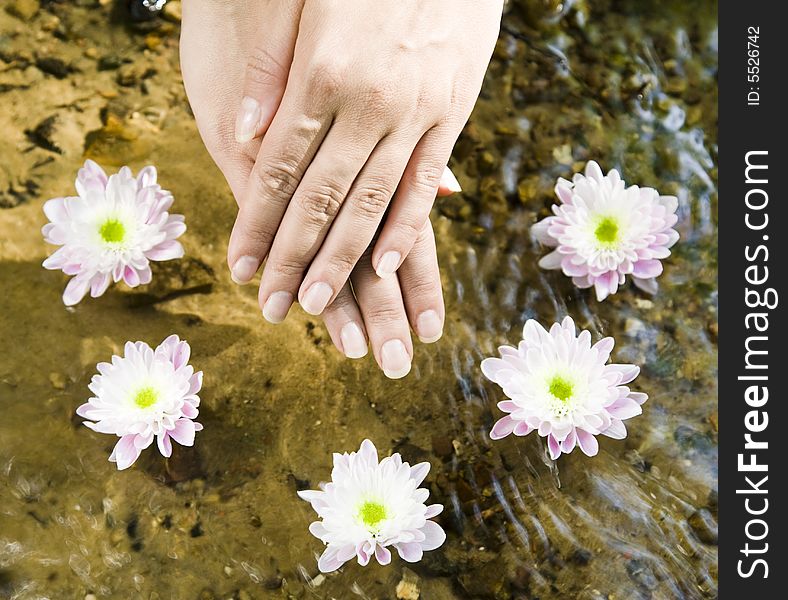 SPA Treatment. Hand under the water with flowers.