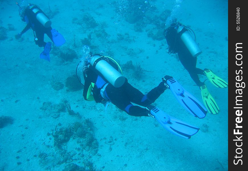 Three Scuba Divers out on the edge of a reef