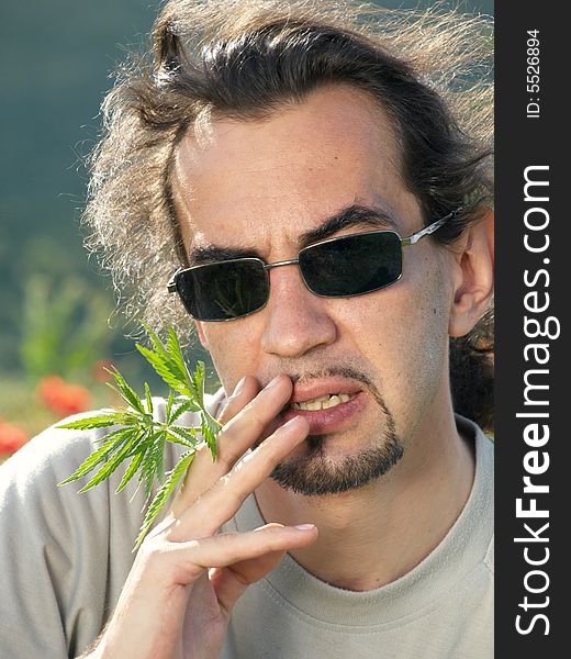 Portrait of man holding hemp leaves near mouth like he smokes. Portrait of man holding hemp leaves near mouth like he smokes