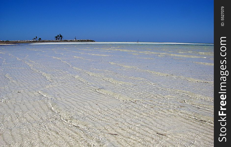 Shallow shore of crystal waters on Grand Bahama Island beach, The Bahamas.
