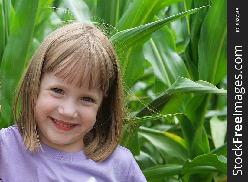 Cute little girl in the middle of a corn field. Cute little girl in the middle of a corn field