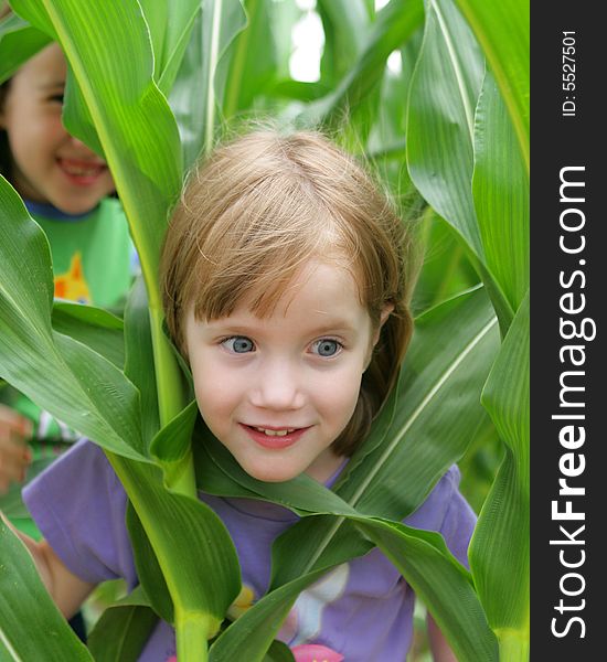 2 girls playing in a corn field. 2 girls playing in a corn field