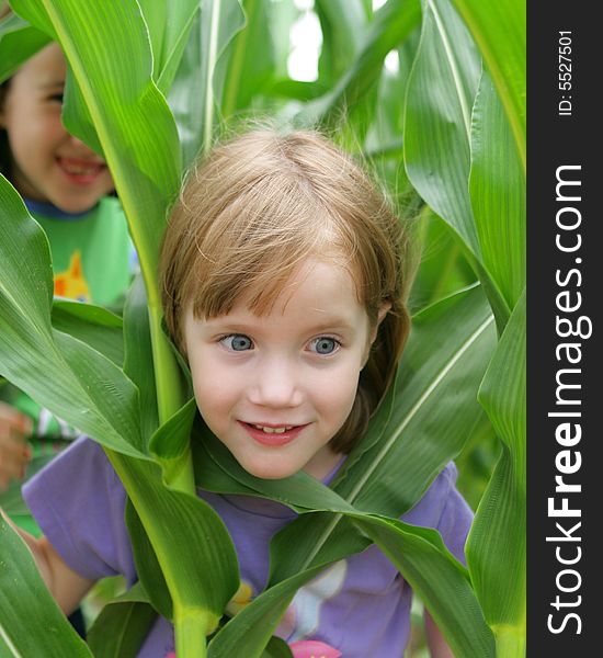 Fun In The Corn Field