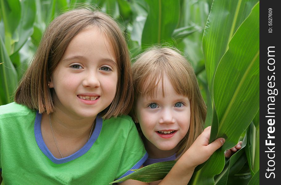 2 girls playing in a corn field. 2 girls playing in a corn field