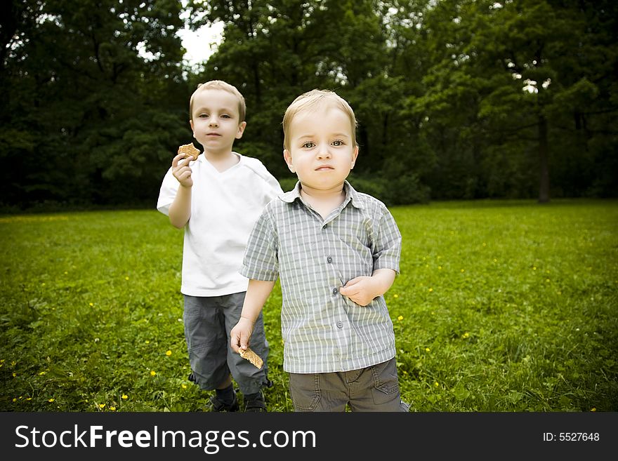 Outdoors Lunch. Two Brothers On The Meadow.