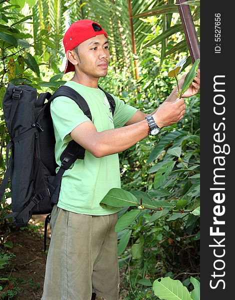 Hiking man with backpack watching leaves. Hiking man with backpack watching leaves