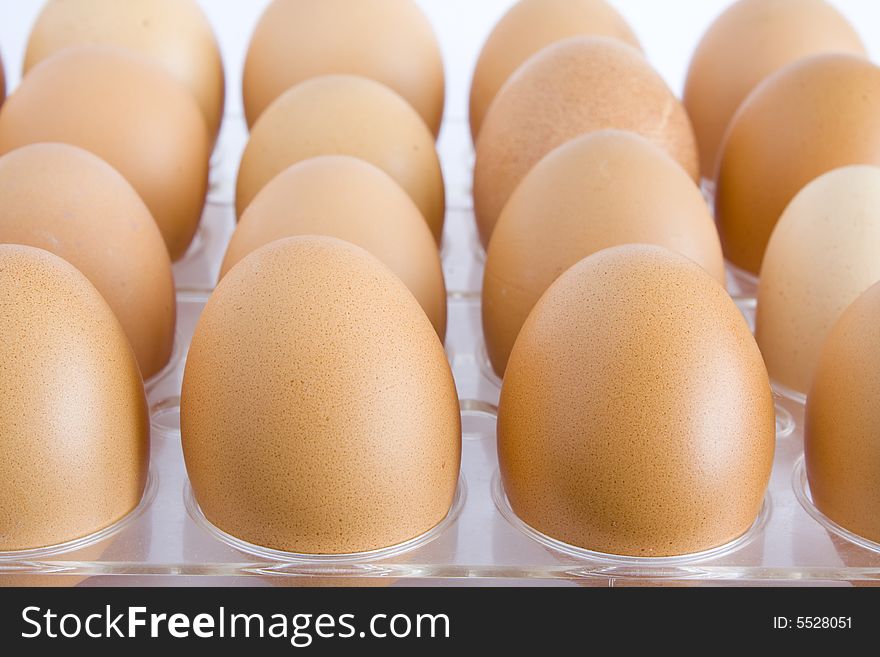 Chicken eggs of brown color in transparent plastic cells