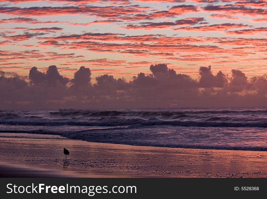 Sunset over a beautiful sandy beach, Very clear and bright perspective with clouds layers that accentuate the horizon, bird silhouette standing on the beach. Sunset over a beautiful sandy beach, Very clear and bright perspective with clouds layers that accentuate the horizon, bird silhouette standing on the beach