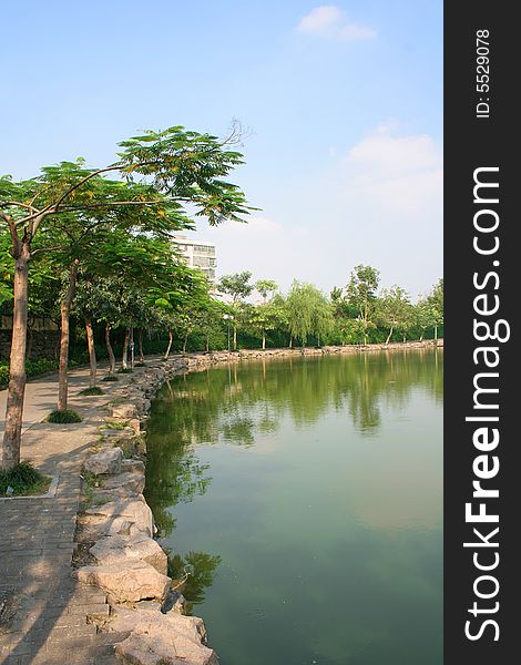 China asia city developing town sky blue cloud tree waterside water edge lakeside lake reflection stone afternoon sun sunny sunshine shining