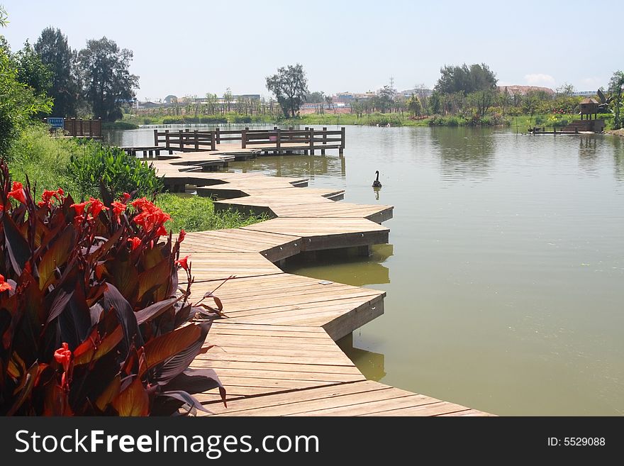 Near city there is a marshy park, it's part of wood path. Near city there is a marshy park, it's part of wood path.