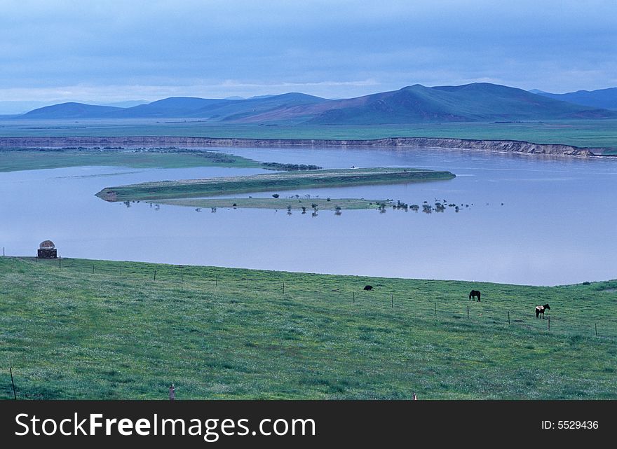 A lake is surrounded with grass and cattle.