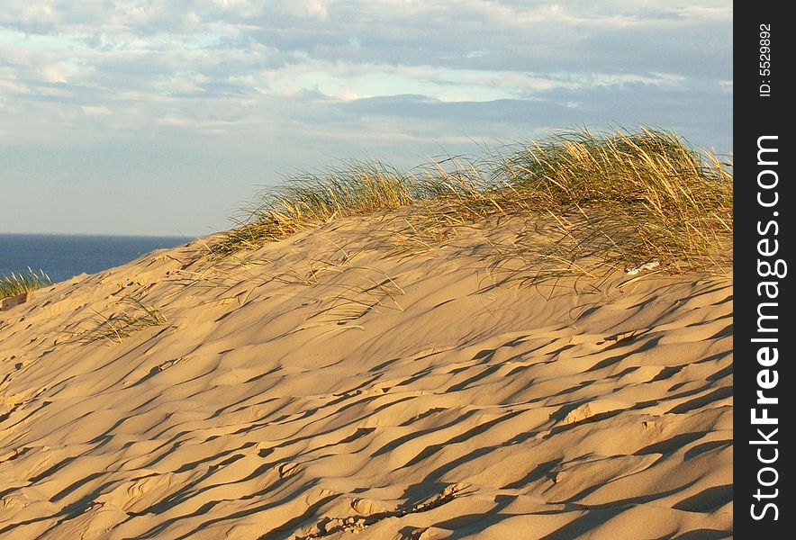 Dune by the sea in Lithuania