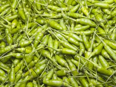 A Pile Of Green Prik Ki Nu Chilies Royalty Free Stock Images