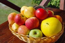 Colorful Garden Fruits In Basket. Stock Image Colorful Garden Fruits In Basket. Stock Image
