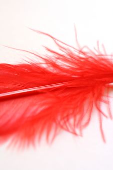 Red Feather Detail Royalty Free Stock Photography Red Feather Detail Royalty Free Stock Photography