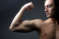 Biceps Stock Photos
