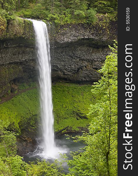 177 ft South falls in Silver Falls State Park near Salem, Oregon. 177 ft South falls in Silver Falls State Park near Salem, Oregon