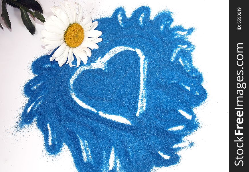 Camomile and heart it is drawn on dark blue sand. A card for congratulations