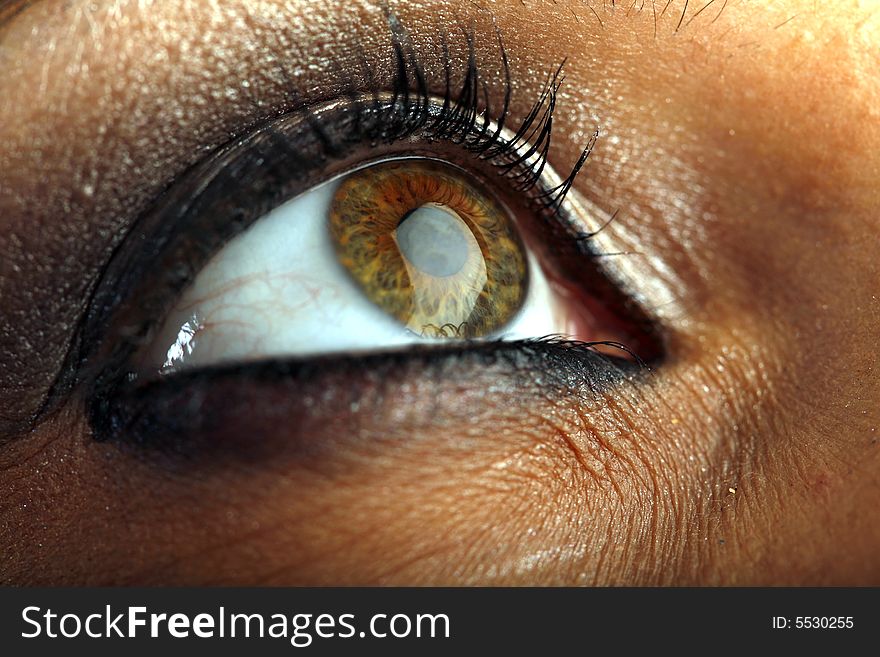 Very sharp and detail macro of eye