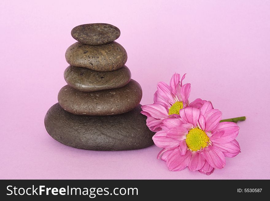 Pebbles in balance with flowers in color background. Pebbles in balance with flowers in color background
