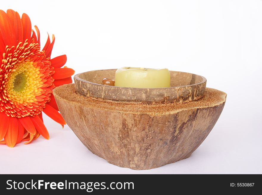 Coconut candle holder and flower in white background