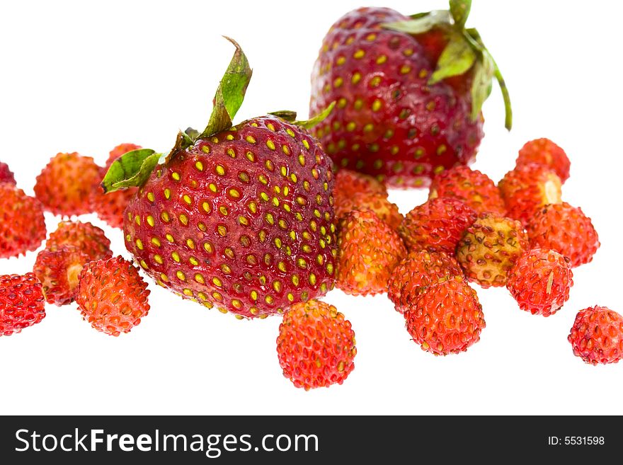 Many strawberries isolated on the white background. Many strawberries isolated on the white background