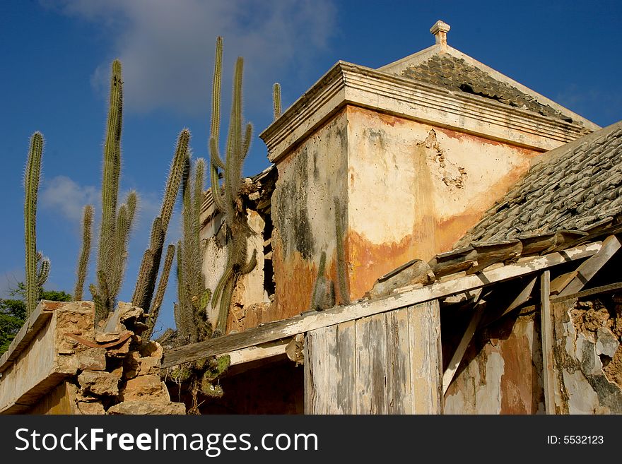 A derelict house on Bonaire overgrown with cactus. A derelict house on Bonaire overgrown with cactus